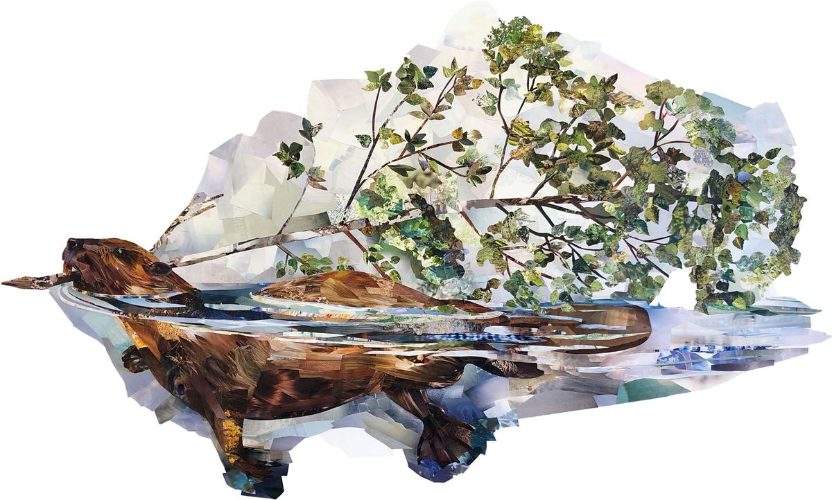 Den flitige Bävern och Papperssvanen, 7:8