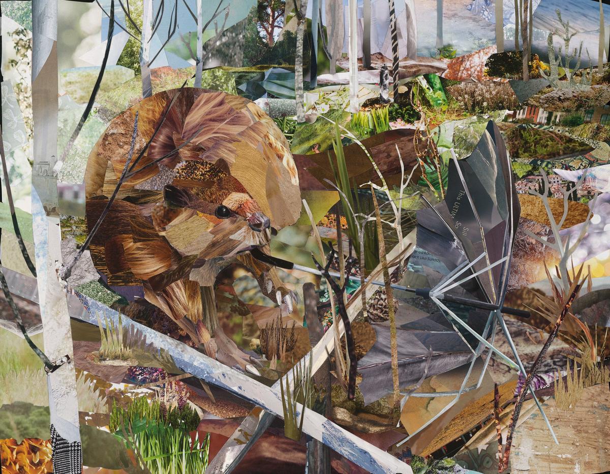 Den flitige Bävern och Papperssvanen, 3:8